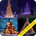 Christmas Tree 3D HD Wallpaper