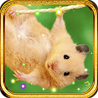 Hamster Pet live wallpaper