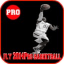 fly 2014Pro basketball