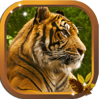 Tiger Free HD live wallpaper