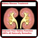 Improve Your Kidney Function ?
