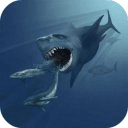 Hungry Evo Sharks