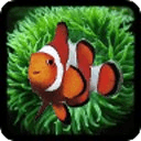 Clown Fish Reef