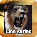 Lion Wild King Live Wallpaper