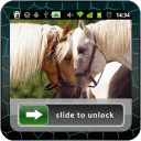 Horses Lock Screen photo