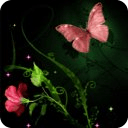 Pink Butterfly LWP