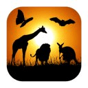 Zoo Animals:E-book for Kids