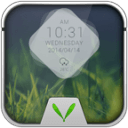 Naive Grass Live Locker Theme