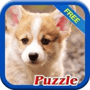 Cute Puppy Dogs Puzzle