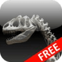 Dinosaur Games for Kids