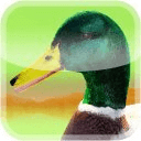 Ducks 3D Live Wallpaper FREE