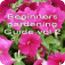 Beginners Gardening Guide Vol2