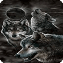 Howling Wolves Live Wallpaper