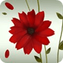 A Flower Atom theme