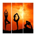 Best Yoga Workouts