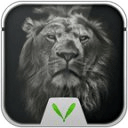 Lion Live Locker Theme