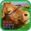 Hay Farm Stay