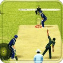 Play Cricket Worldcup 2015