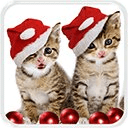 Christmas Cat Live Wallpapers