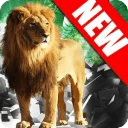 野生狮子攻击3D模拟器2
