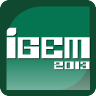 IGEM 2013