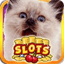 Cute Pet Millionaire Gold Slot