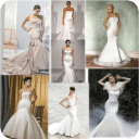 Best Wedding Dresses LWP