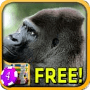 Ape Slots - Free