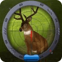 Deer Super Hunt HD