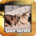 Lion Cannibal Live Wallpaper