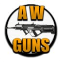 Advanced Warfare Guns
