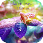 Macro leaves Theme