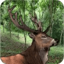Deer Hunting Sniper 3D 2015