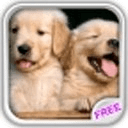 Playful Puppies Live Wallpaper