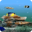 Aquarium Fishes Live Wallpaper