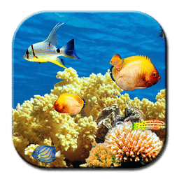 Aquarium Coral