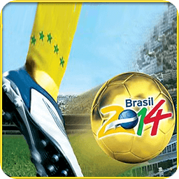 FIFA 2014 World Cup Game
