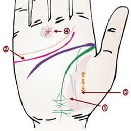 掌纹奥秘知多少