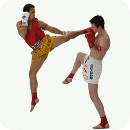 KICK BOXING - FREE APP