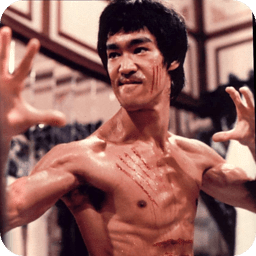 Bruce Lee Videos