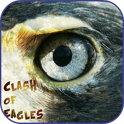 Clash of Eagles