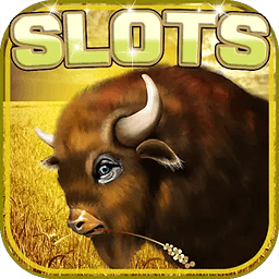 Buffalo Slots