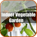 FREE Indoor Vegetable Garden