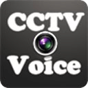 Simple CCTV