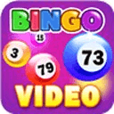 Video Bingo Fortune Play