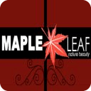 Maple Leaf Nature Beauty