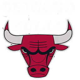 Chicago Bulls Sport Lights