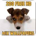 200 Free Mix Wallpapers HD