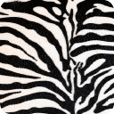 black and white zebra print