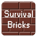 Survival Bricks (2P)